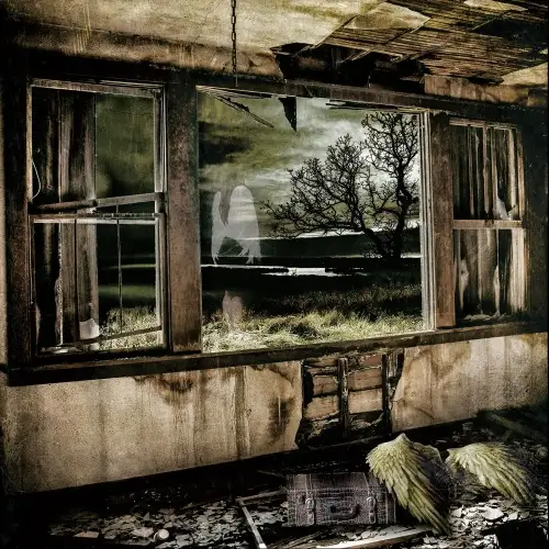 Meridian Incident / Istology