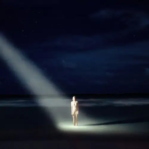Ellen Allien / New Life