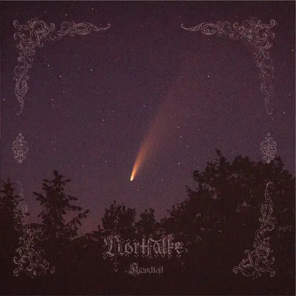 Nortfalke / Kauntloft