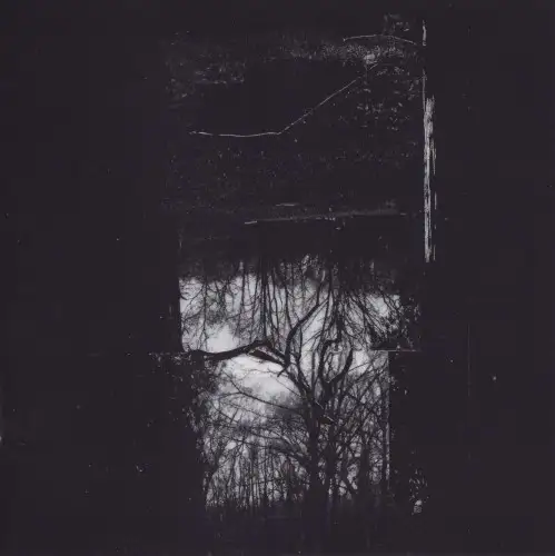 Reverence To Paroxysm / Lux Morte