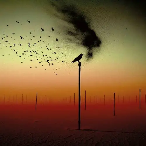 Canaan / For A Bird That Never Flew