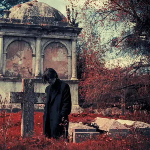 Steven Wilson - Requiem for a Village (Single) - 2026