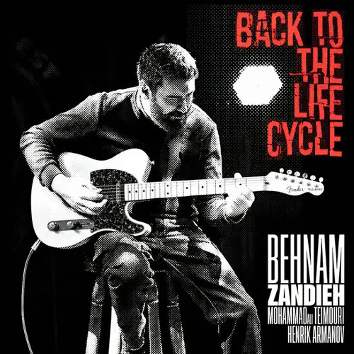 Behnam Zandieh / Back To The Life Cycle