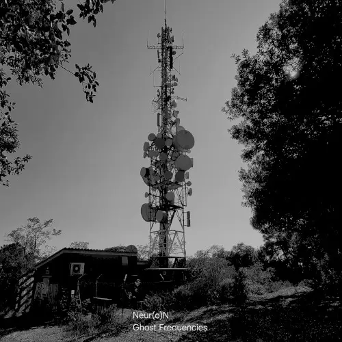 Neur(o)N — Ghost Frequencies