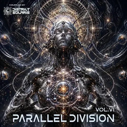 Parallel Division Vol. 6