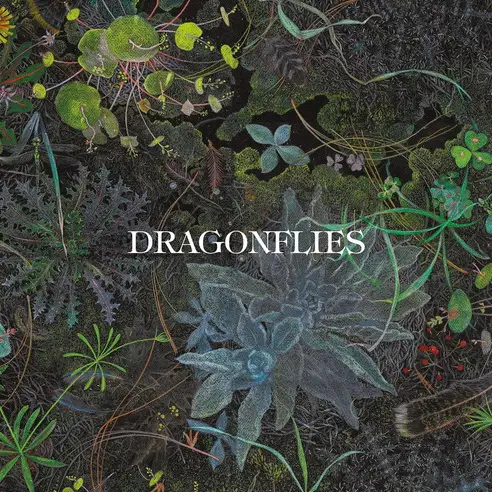 Dragonflies (Dhani Harrison, Nigel Godrich) -  Dragonflies