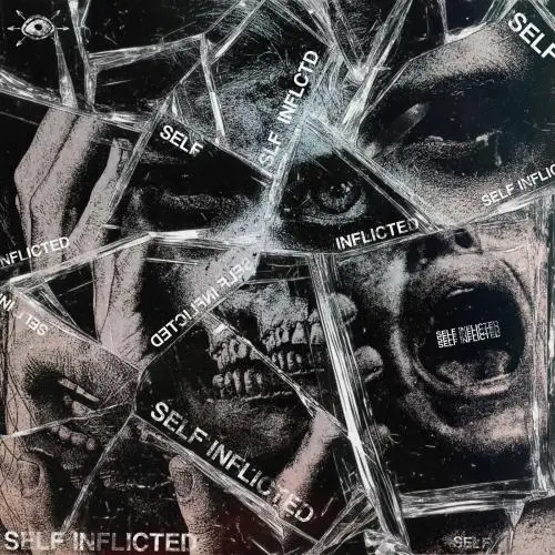 Stray View - Self Inflicted